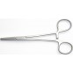 Artery Forceps 8" Inches (Straight)