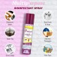 Dr. Morepen Protect - All In One Disinfectant Spray