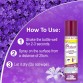 Dr. Morepen Protect - All In One Disinfectant Spray