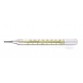 Thermomate Oval Clinical Thermometer Box of 10 Pcs.