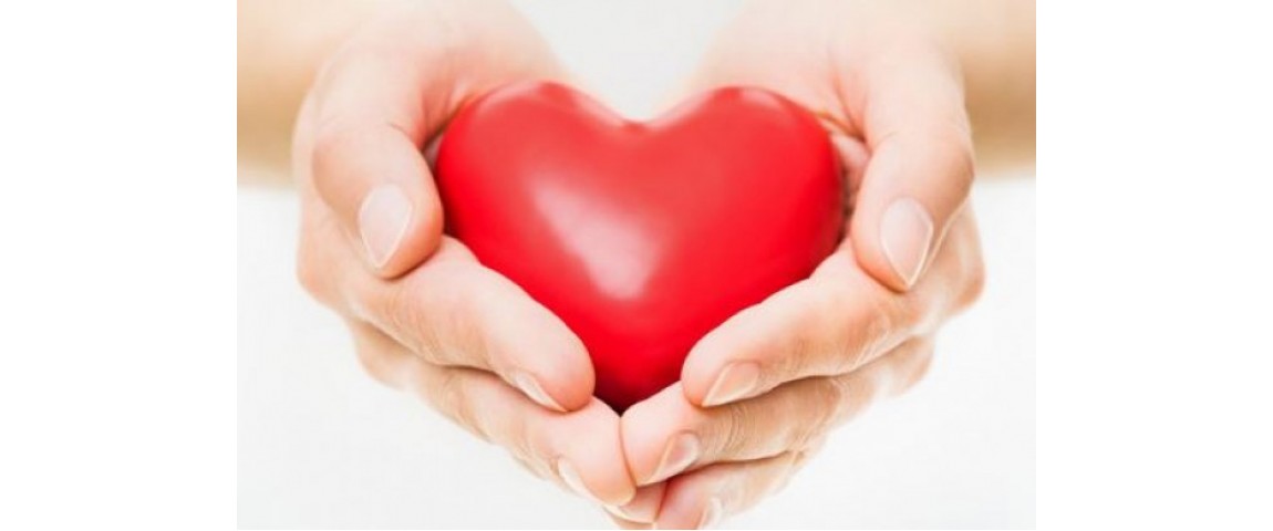 Human Heart : Amazing Facts & Tips to Keep Our Heart Healthy
