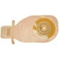 Coloplast 17512 (15-43 mm) Alterna Free One-Pc Convex Light Ostomy Bag