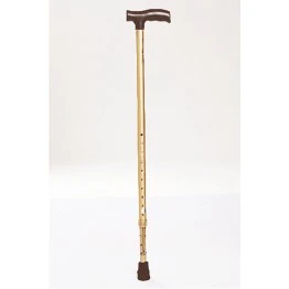 Tynor Walking Stick L Type