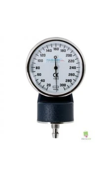 BP Watch (Dial) 