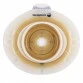 Coloplast 11031 60mm SenSura Standard Wear Convex Light Base Plate (One Piece)