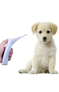 Entero Digital Vet Thermometer for Animals  (Professional Veterinary Thermometer)