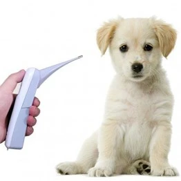 Entero Digital Vet Thermometer for Animals  (Professional Veterinary Thermometer)