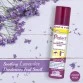 Dr. Morepen Protect - All In One Disinfectant Spray