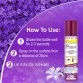 Dr. Morepen Protect - All In One Disinfectant Spray