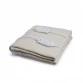 Expressions Electric Bed Warmer For Double Bed - Skin Brown Color Expressions Electric Bed Warmer For Double Bed - Skin Brown Color