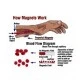 Magnetic Bracelet for Blood Pressure Bio Magnetic Therapy 
