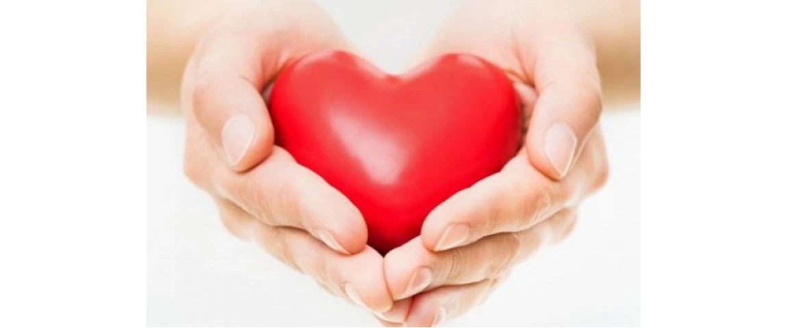 Human Heart : Amazing Facts & Tips to Keep Our Heart Healthy